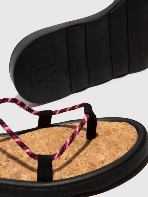 BLACK(PURPLE) XX0D550 Lace-up Sandals TACE874 Fly London Women