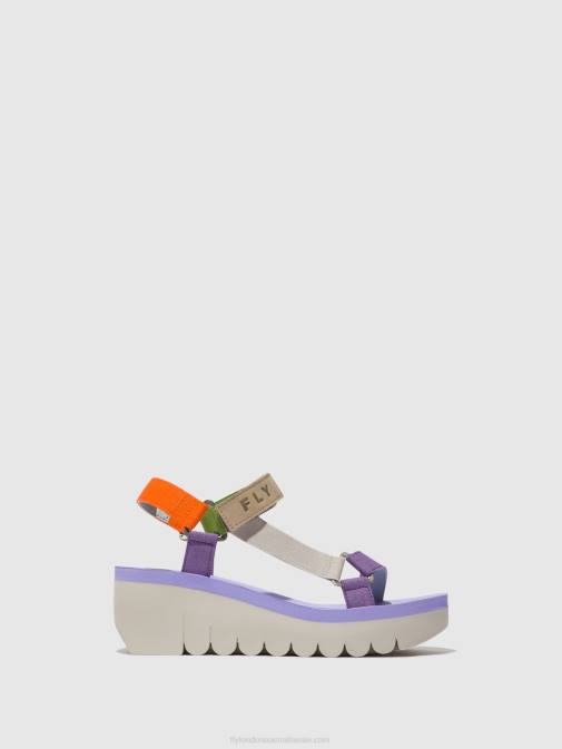 MULTICOLOR (VIOLA)