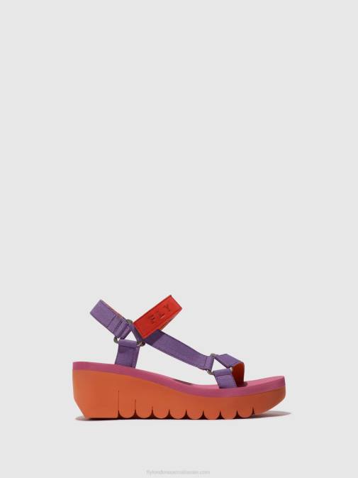 ORANGE/VIOLET (ROSE)